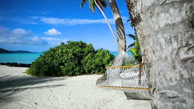 hamac entre deux arbre sur une plage