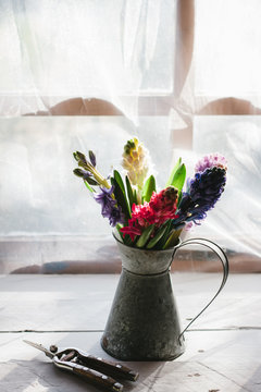 Hyacinths in a vintage jug in front of a sunny window.