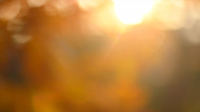 Autumn abstract blurred background. Fall. 3840X2160 4K UHD video footage