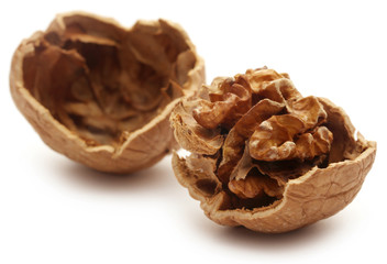 Walnut