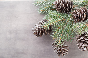 Christmas branches. Christmas greeting card. Symbol xmas.