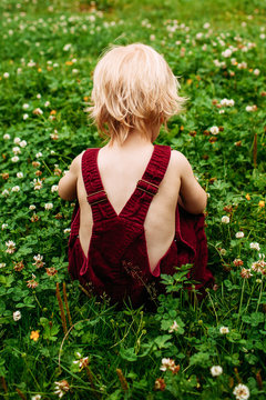 Back view of small child wearing dungarees sitting in a clover field.