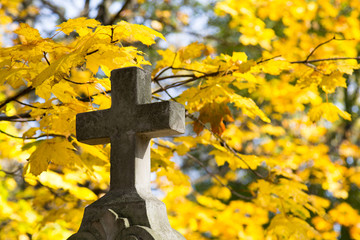 Stary kamienny krzyż na cmentarzu w otoczeniu jesiennych drzew. Symbol chrześcijaństwa.  - obrazy, fototapety, plakaty