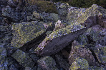 Big stones background. Moss on the rock. Mineralogy.