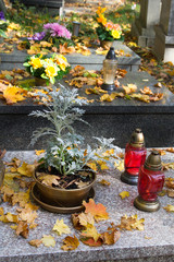 Groby udekorowane zniczami i sztucznymi kwiatami w otoczeniu jesiennych liści z okazji Święta Zmarłych i Dnia Wszystkich Świętych. 
