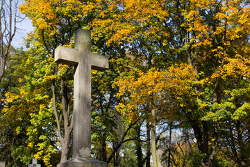 Old stone memorial cross at cemetery. Religious Christian symbol on autumn trees background