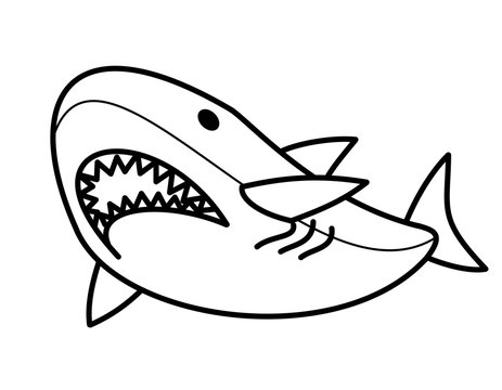 サメ(線画)