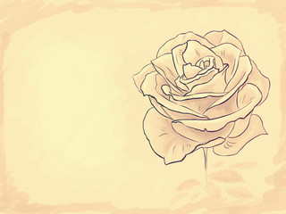 Retro art rose, background for greeting