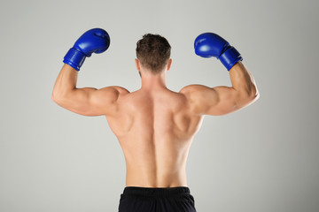 Male boxer on light background