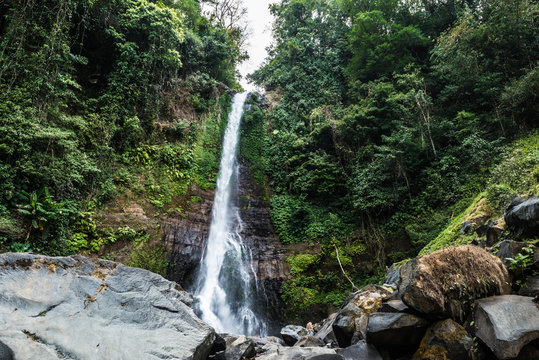 beautiful waterfall in the rain forest