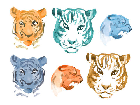 Tiger. Watercolor stickers