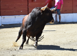 toro