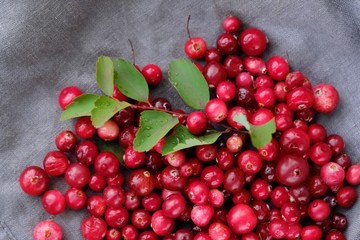 Fresh red cranberries with leaves on the table 