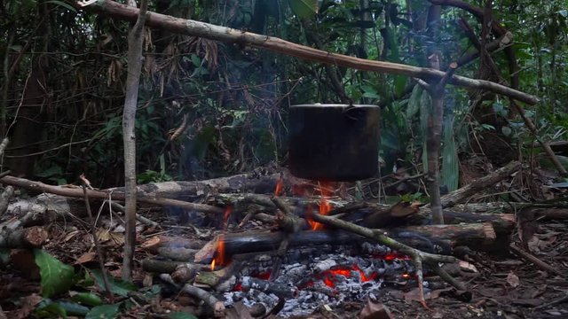 A campfire in the midle ogf the jungle