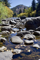 Colorado Fall Stream - obrazy, fototapety, plakaty