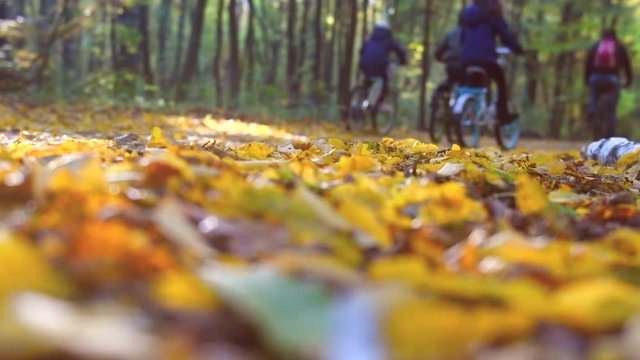 Blurred view of autumn park park with group of unrecognizable people riding bicycle. Slow motion. 3840X2160 4K UHD video footage