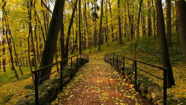 Park landscape at golden fall