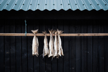 poisson séché pêche pêcheur artisan nourriture village île féroé faroe island © shocky