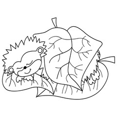 Vector Cute Cartoon Hedgehog Sleeping
