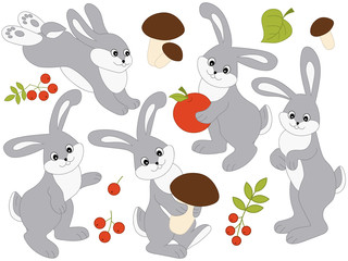 Fototapeta na wymiar Vector Set of Cute Cartoon Rabbits