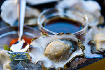 Raw Oyster with Sauce