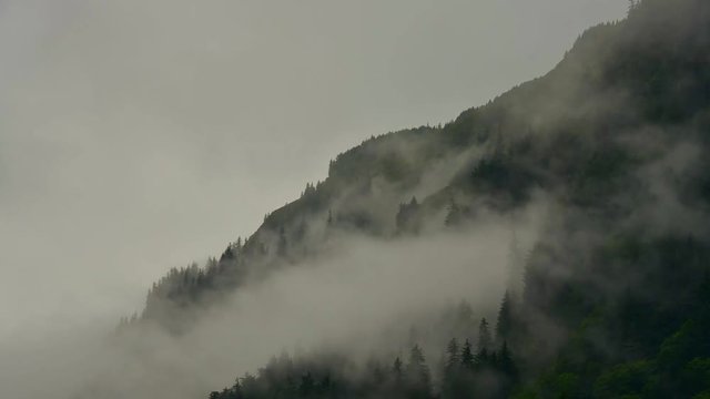 Juneau, Alaska: low cloud fog or mist on top of mountain top and tree with wind blowing