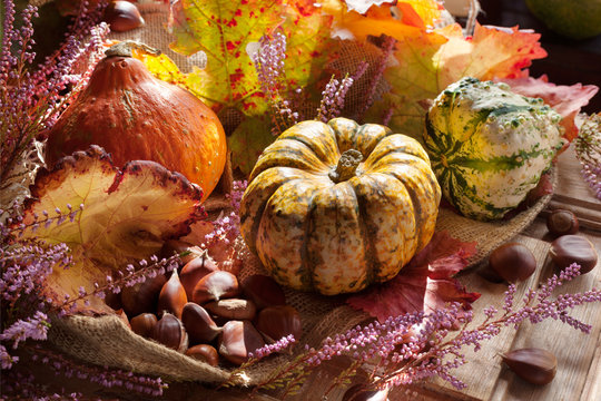 Courges_Automne