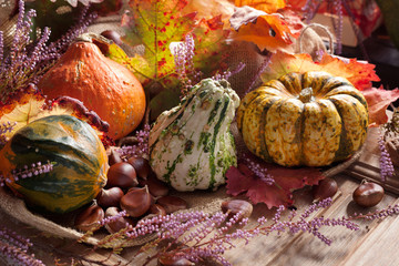 Courges_Automne