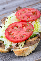 beef steak sub sandwich