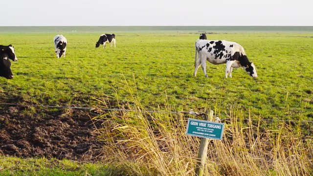 geese protection farmland sign