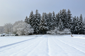 Fototapeta premium 冬の田園