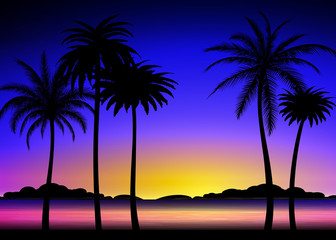 Silhouette of palm trees on the colorful tropical sunset, vector illustration