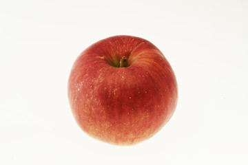 リンゴ　紅玉　白抜き