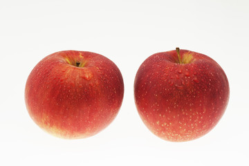 リンゴ　紅玉　白抜き