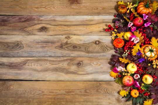 Thanksgiving greeting with pumpkins and pink flowers, copy space
