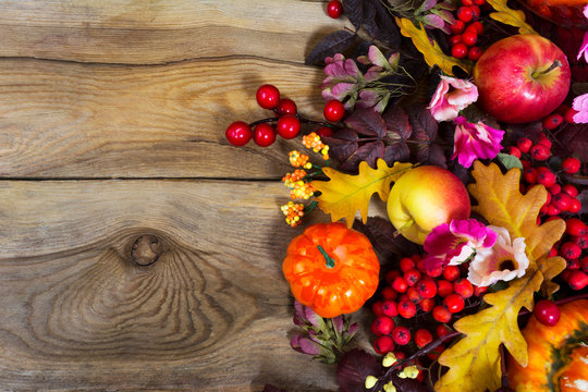 Fall decoration with yellow oak leaves, red berries, pink flowers, copy space
