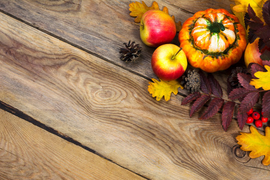 Thanksgiving background with cones, apples, pumpkin on wooden table, copy space