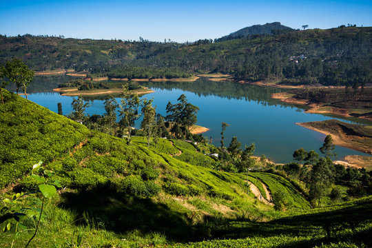 castlereigh reservoir, Hatton Sri Lanka