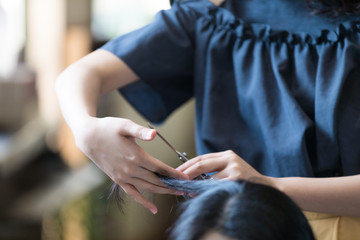Obraz na płótnie Canvas Hair salon concept. Female hairdresser.