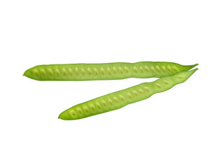 White Popinac seeds on white background.