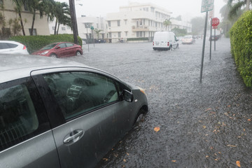 Miami Flood