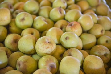 Fresh Yellow Apples on Display