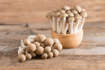 Shimeji mushrooms brown varieties.