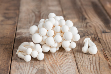 Shimeji mushrooms white varieties.