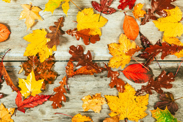 Autumn leaves on a wooden background.