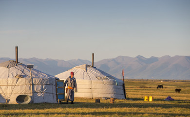 Mongolian gers in a landscape at sunrise - obrazy, fototapety, plakaty
