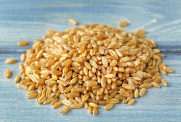 Pile of wheat grass seeds for sprouting on table
