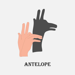 illustration of shadows beautiful