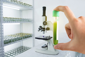 research herbal medicine at lab , test pharmaceutical with Shaker plant growth experiments done in...