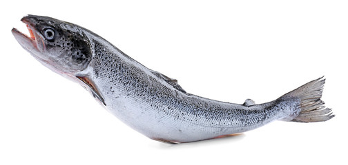 Fresh raw salmon, isolated on white